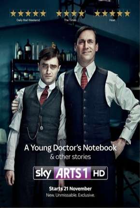 Pôster de Diário de um Jovem Médico - 2ª Temporada (2013) — Série em HD