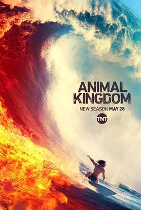 Pôster de Animal Kingdom - 4ª Temporada Legendada (2019) — Série em 1080p