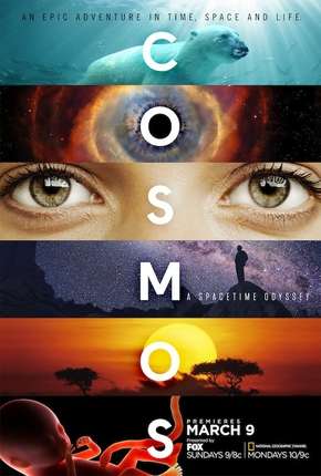 Pôster de Cosmos - Uma Odisseia No Espaço-Tempo - 1ª Temporada (2014) — Série em HD