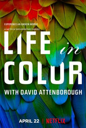 Pôster de A Vida em Cores com David Attenborough - 1ª Temporada Completa (2021) — Série em 1080p