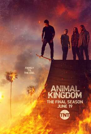 Pôster de Animal Kingdom - 5ª Temporada Legendada (2021) — Série em 1080p