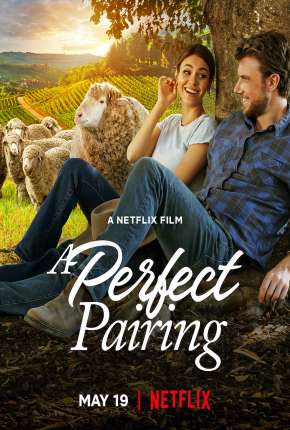 Pôster de Combinação Perfeita (2022) — Filme em 1080p