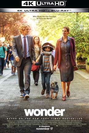 Pôster de Extraordinário - 4K (2017) — Filme em 4K