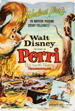Pôster de No Coração da Floresta (1957) — Filme em 1080p